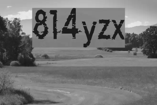 814yzx Font examples