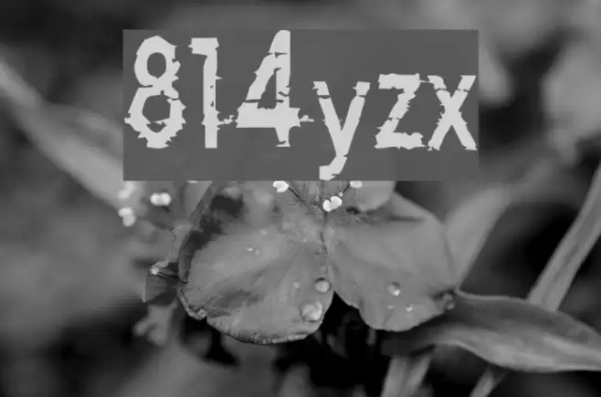 814yzx Font examples