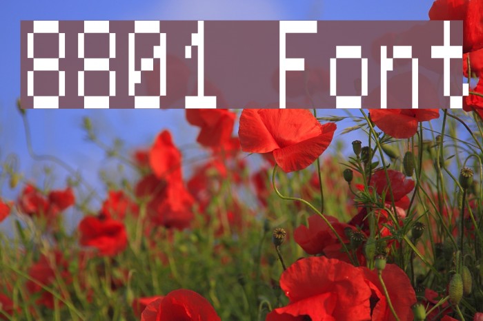 8801 Font examples