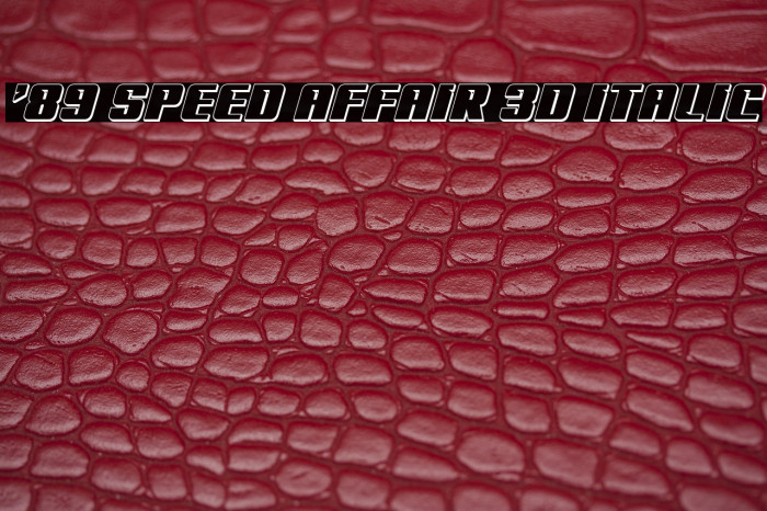 '89 Speed Affair 3D Italic Example 3