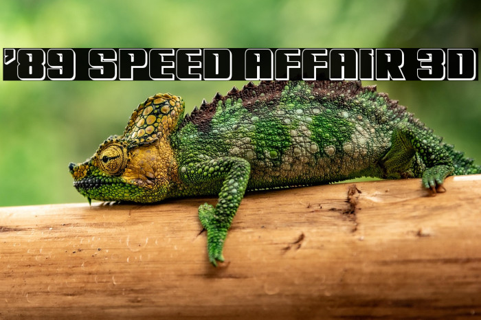 '89 Speed Affair 3D Example 3