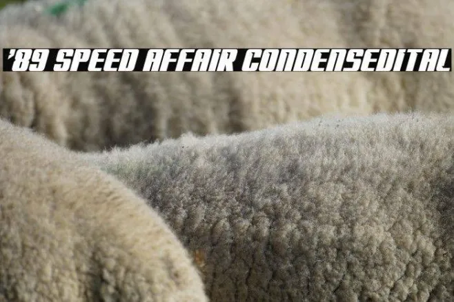 '89 Speed Affair CondensedItal Example 1