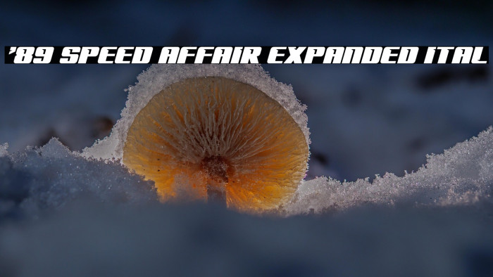 '89 Speed Affair Expanded Ital Example 3