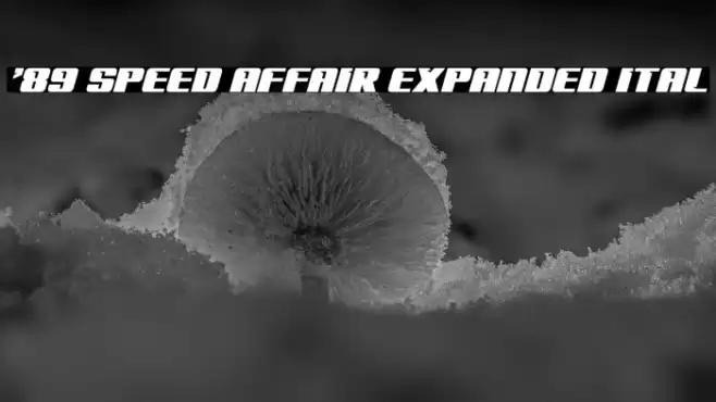 '89 Speed Affair Expanded Ital Font examples