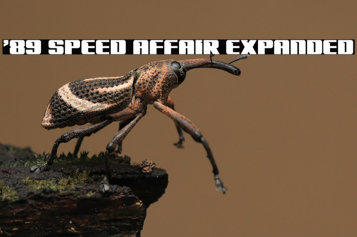 '89 Speed Affair Expanded Example 2