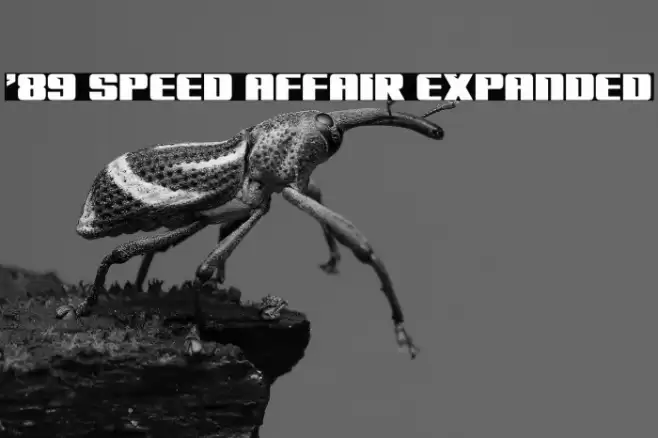 '89 Speed Affair Expanded Font examples