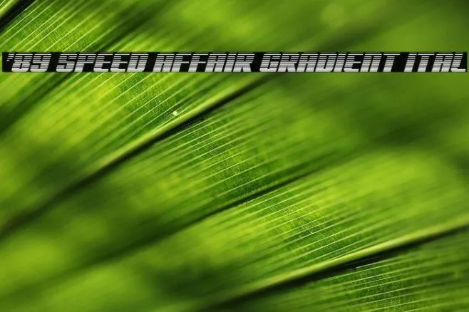 '89 Speed Affair Gradient Ital Example 1
