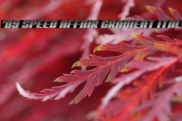 '89 Speed Affair Gradient Ital Example 3