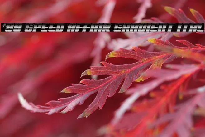 '89 Speed Affair Gradient Ital Example 3