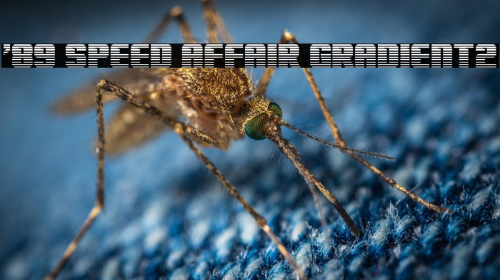 '89 Speed Affair Gradient2 Example 1