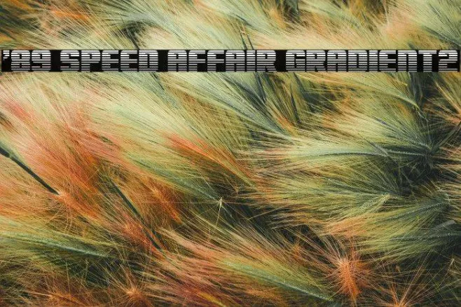 '89 Speed Affair Gradient2 Example 2