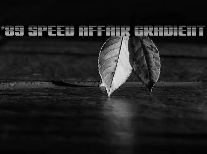 '89 Speed Affair Gradient Font examples