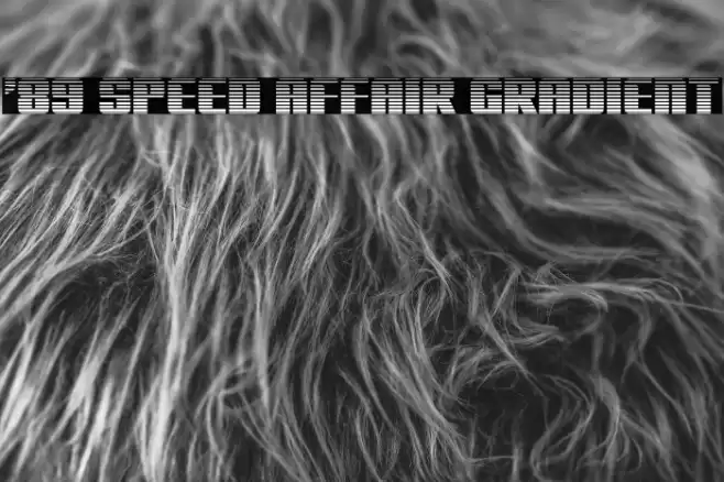 '89 Speed Affair Gradient Font examples