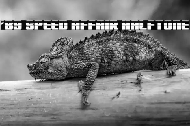 '89 Speed Affair Halftone Font examples