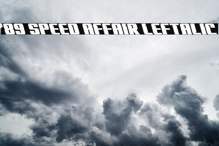 '89 Speed Affair Leftalic Example 1