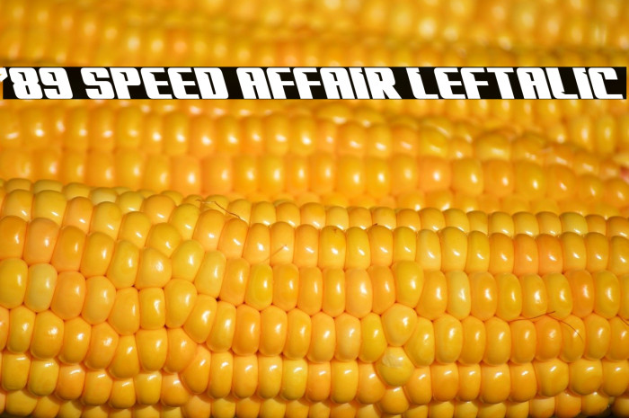 '89 Speed Affair Leftalic Example 2