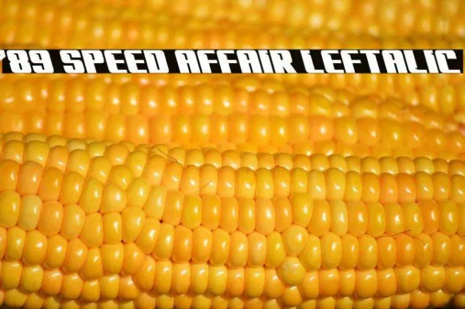 '89 Speed Affair Leftalic Example 2