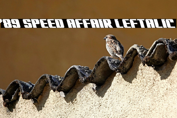 '89 Speed Affair Leftalic Example 3