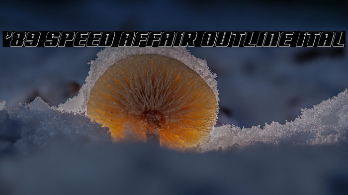 '89 Speed Affair Outline Ital Example 3