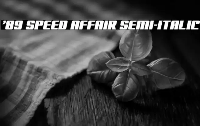 '89 Speed Affair Semi-Italic Font examples
