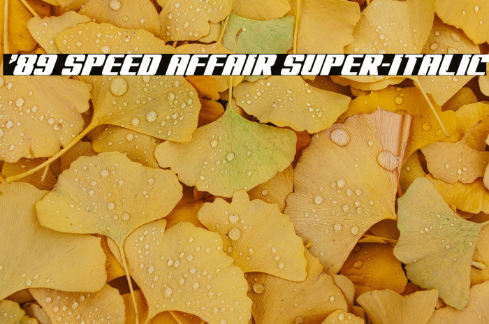 '89 Speed Affair Super-Italic Example 2