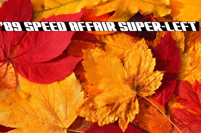 '89 Speed Affair Super-Left Example 2