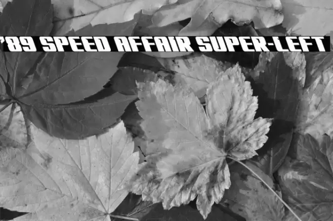 '89 Speed Affair Super-Left Font examples