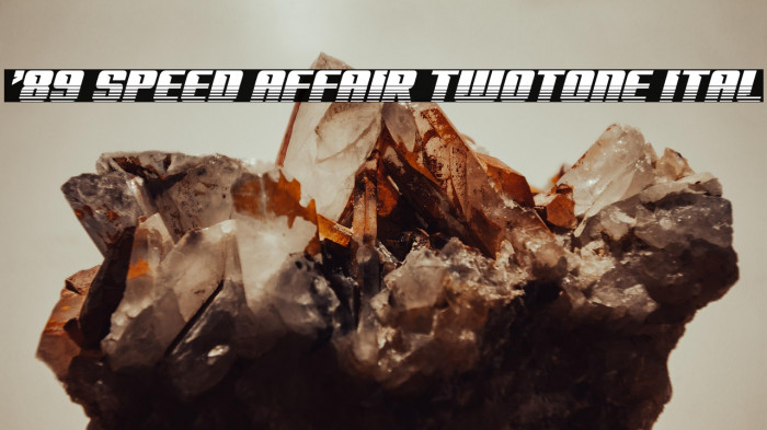 '89 Speed Affair Twotone Ital Example 2