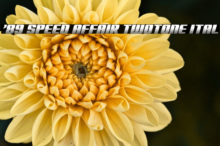 '89 Speed Affair Twotone Ital Example 3