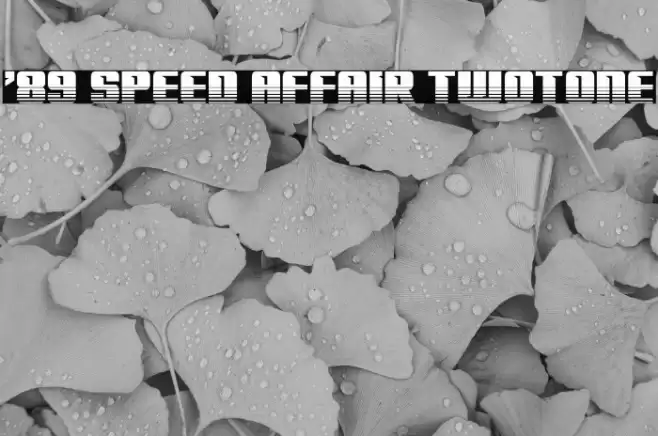 '89 Speed Affair Twotone Font examples