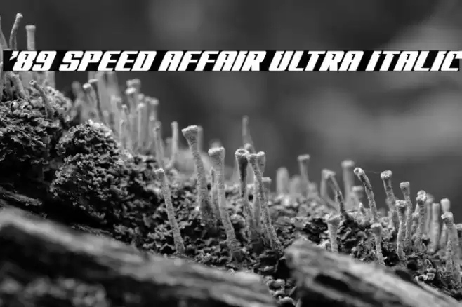 '89 Speed Affair Ultra Italic Font examples