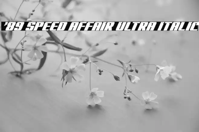 '89 Speed Affair Ultra Italic Font examples