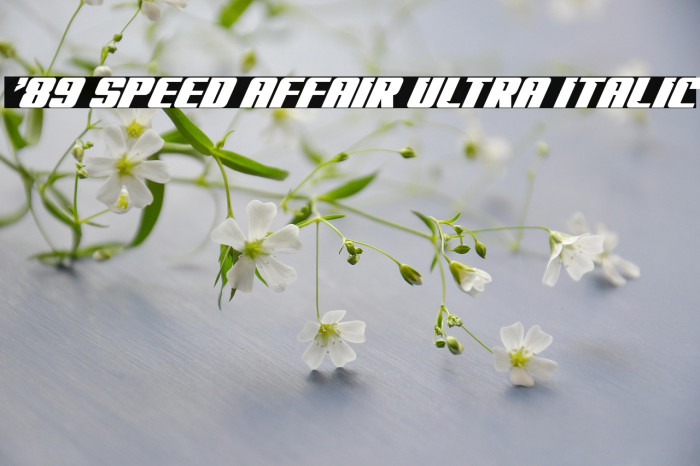'89 Speed Affair Ultra Italic Example 3