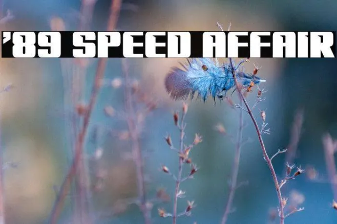 '89 Speed Affair Example 1