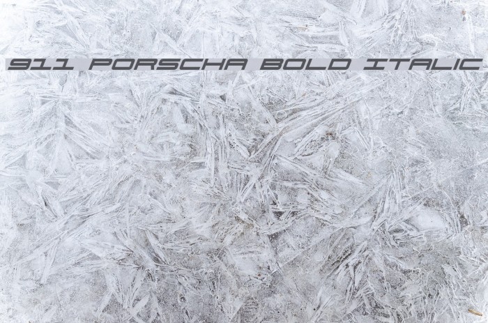 911 Porscha Bold Italic Font examples