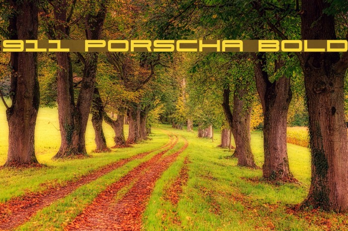 911 Porscha Bold Font examples
