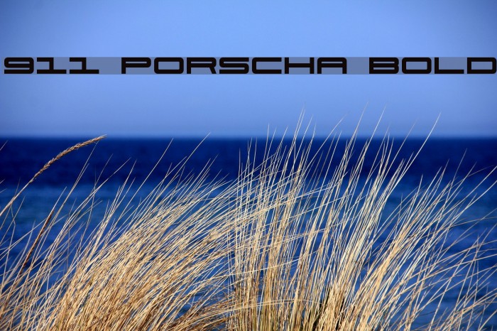 911 Porscha Bold Font examples