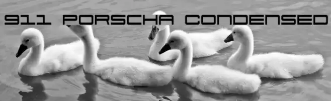911 Porscha Condensed Font examples