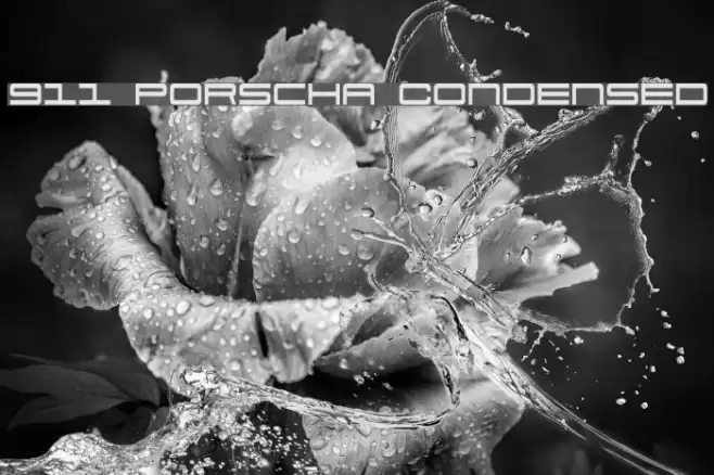 911 Porscha Condensed Font examples
