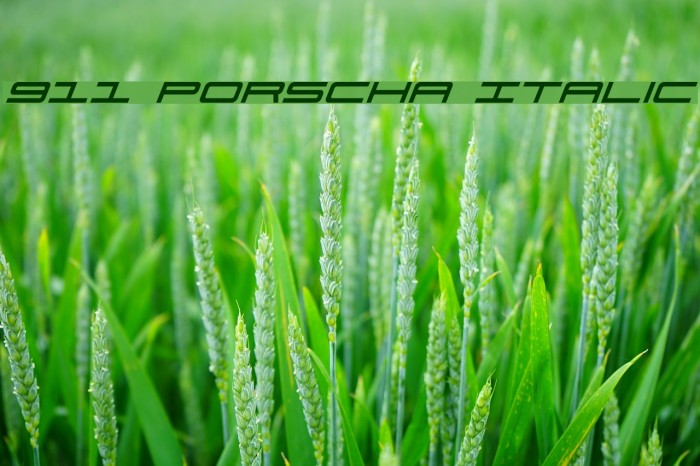 911 Porscha Italic Шрифта examples