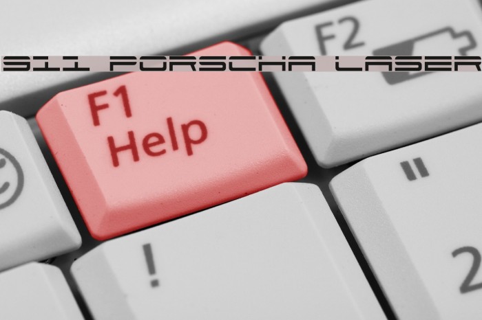 911 Porscha Laser Example 1