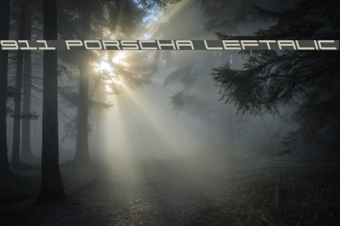 911 Porscha Leftalic Font examples