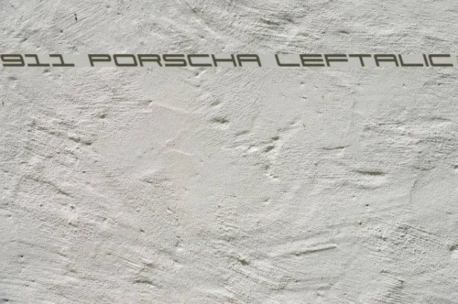 911 Porscha Leftalic Example 3
