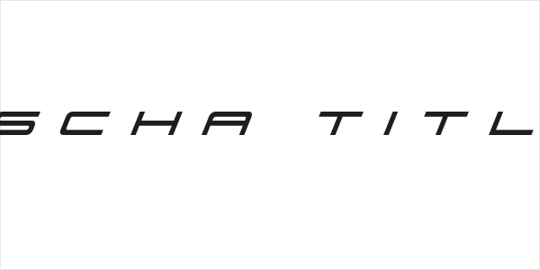 911 Porscha Title Italic Logo