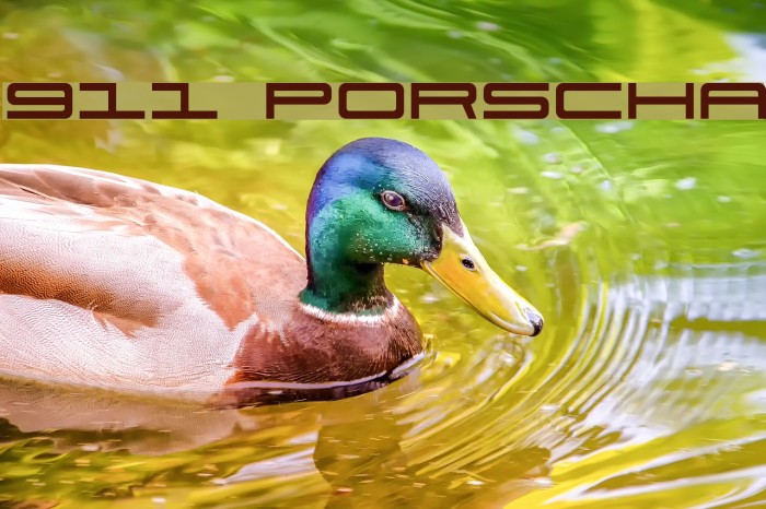 911 Porscha Font examples