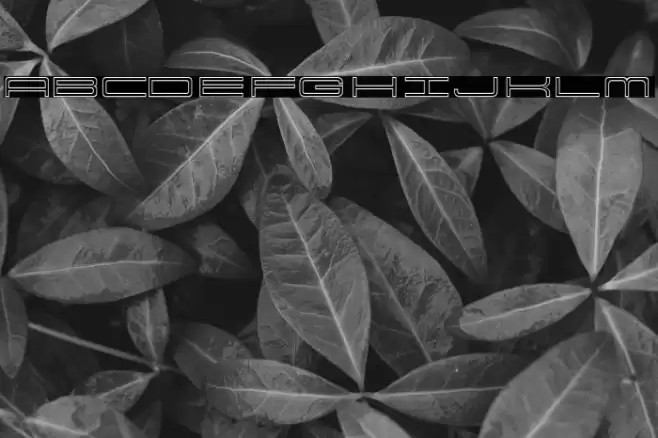 914-OUTLINE Font examples