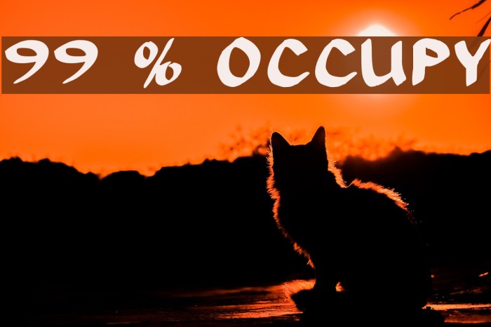 99 % OCCUPY Font examples