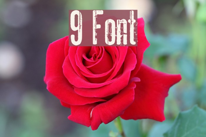9 Font examples