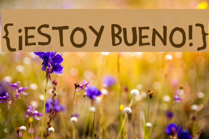 {¡Estoy Bueno!} Font examples