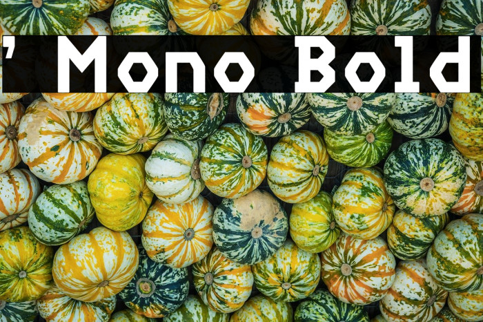 ' Mono Bold Example 1